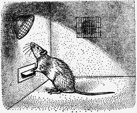 Думают ли животные? - i_011.png