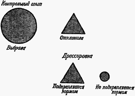 Думают ли животные? - i_019.png