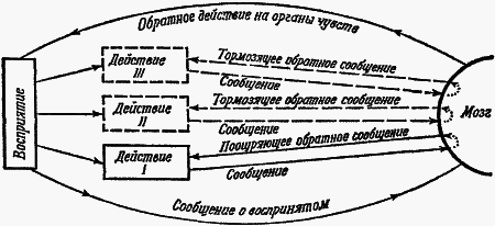Думают ли животные? - i_031.png