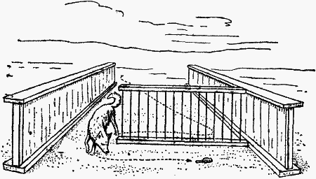 Думают ли животные? - i_033.png