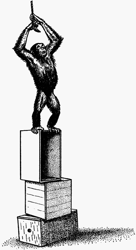 Думают ли животные? - i_037.png