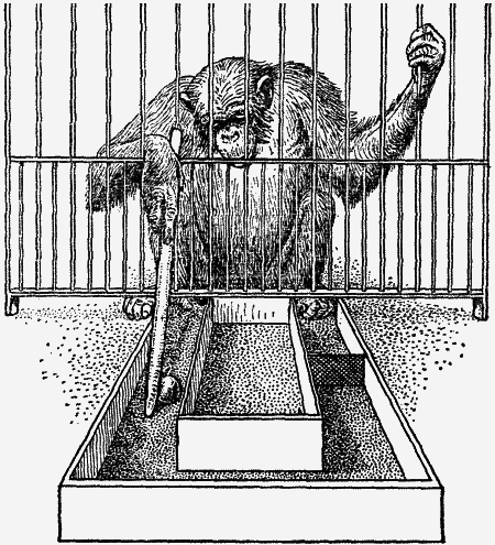 Думают ли животные? - i_038.png