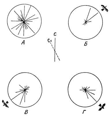 Живые часы - n41.jpg