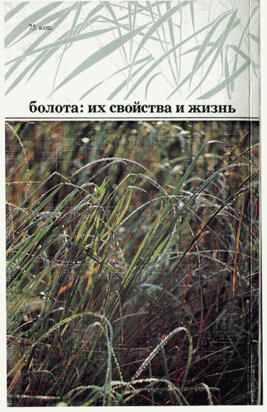 Мир зеленого безмолвия - image86.png