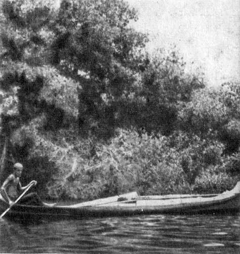 Последняя река. Двадцать лет в дебрях Колумбии - n12.jpg