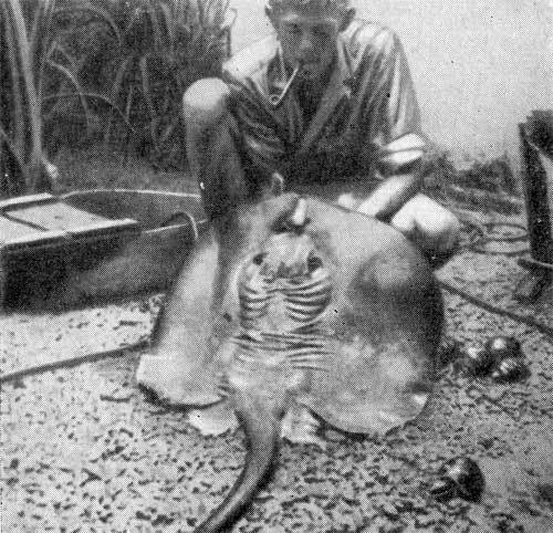 Последняя река. Двадцать лет в дебрях Колумбии - n19.jpg