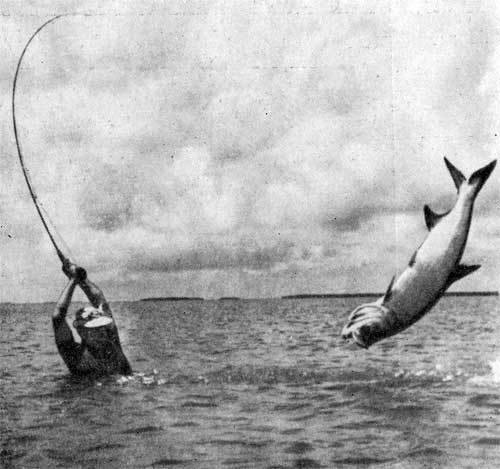 Последняя река. Двадцать лет в дебрях Колумбии - n20.jpg