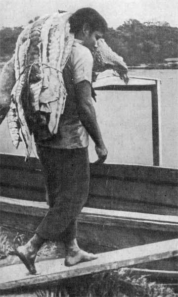 Последняя река. Двадцать лет в дебрях Колумбии - n28.jpg