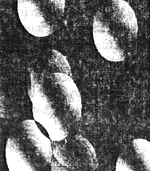 Время и комната - i_002.jpg