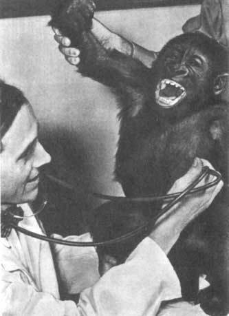 Животные рядом с нами - i_002.jpg