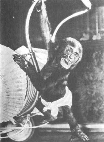 Животные рядом с нами - i_005.jpg