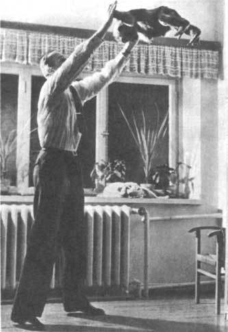 Животные рядом с нами - i_006.jpg