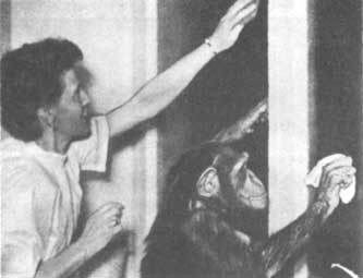 Животные рядом с нами - i_008.jpg