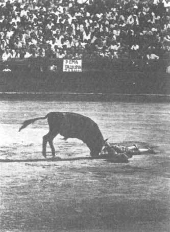 Животные рядом с нами - i_020.jpg