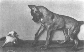 Животные рядом с нами - i_039.jpg