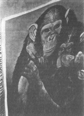 Животные рядом с нами - i_043.jpg