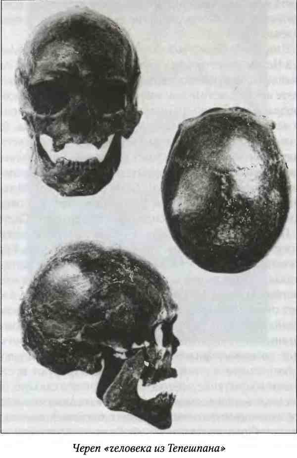 Древние цивилизации Америки - i_002.jpg