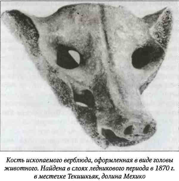 Древние цивилизации Америки - i_003.jpg