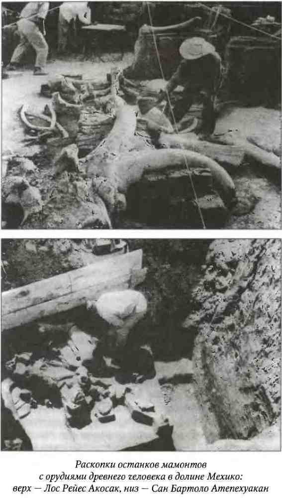 Древние цивилизации Америки - i_004.jpg