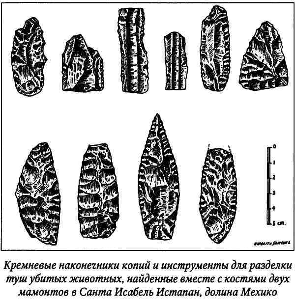 Древние цивилизации Америки - i_005.jpg