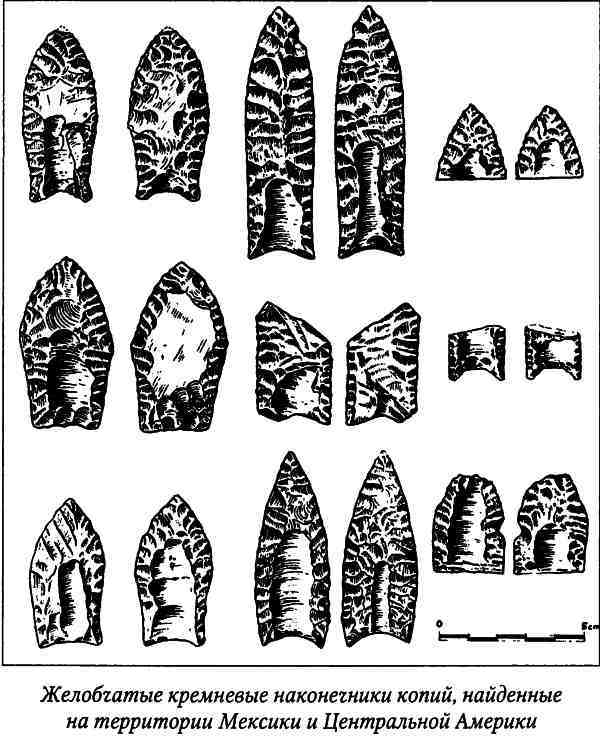 Древние цивилизации Америки - i_006.jpg