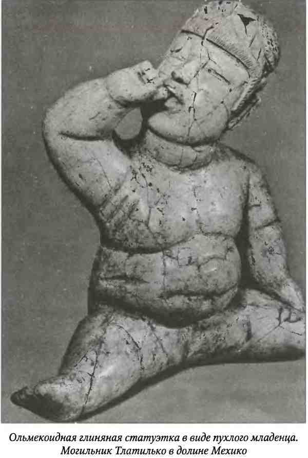 Древние цивилизации Америки - i_036.jpg