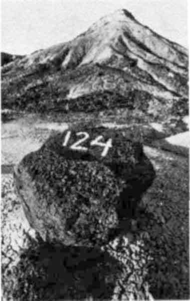 Люси. Истоки рода человеческого - J2000000.jpg