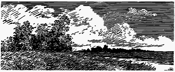 Том 3. Журавлиная родина. Календарь природы - i_005.png