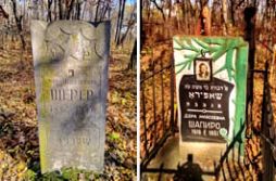 Страна Биробиджан - i_015.jpg