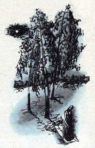 Русские песни и романсы - i_002.jpg