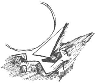 Лира лир - i_002.jpg