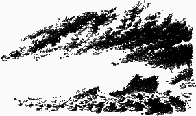 Повесть об отроке Зуеве - nonjpegpng__31.png