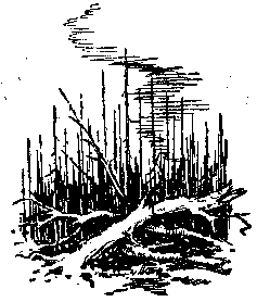 Пылающий остров (илл. Г. Макарова) - pic_8.png