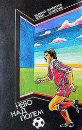 Небо над полем - автор Винокуров Валерий 