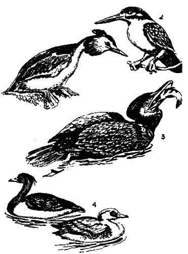 Рыбацкие секреты - i_015.png