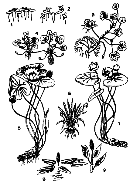 Рыбацкие секреты - i_018.png