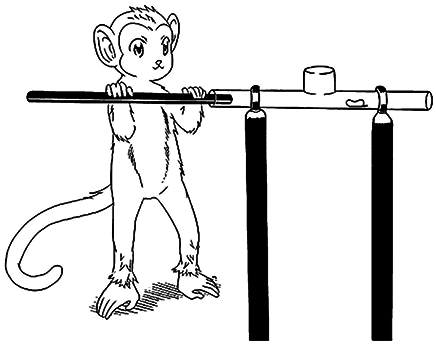 Почему собаки гораздо умнее, чем вы думаете - i_002.png