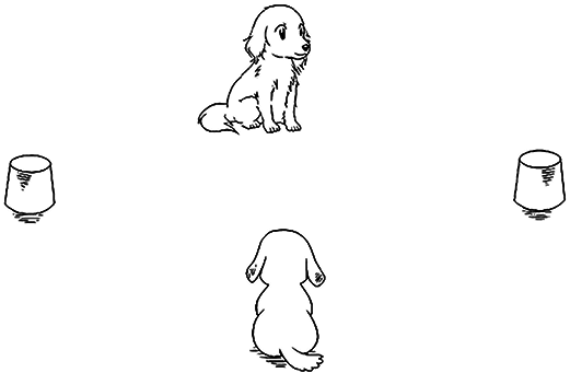 Почему собаки гораздо умнее, чем вы думаете - i_006.png