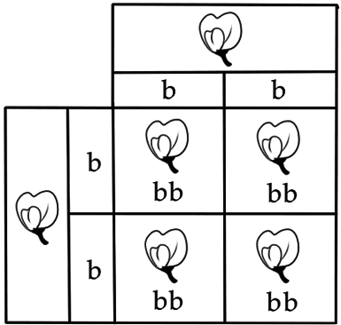 Почему собаки гораздо умнее, чем вы думаете - i_010.png