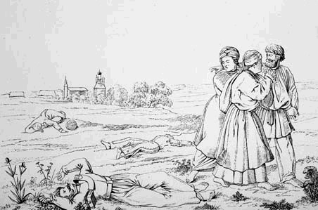 Визуальное народоведение империи, или «Увидеть русского дано не каждому» - i_169.jpg