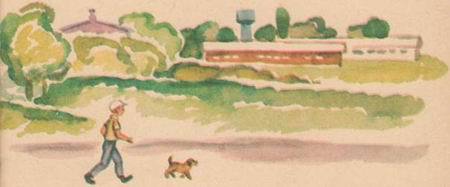 Парень — что надо! - i_011.jpg