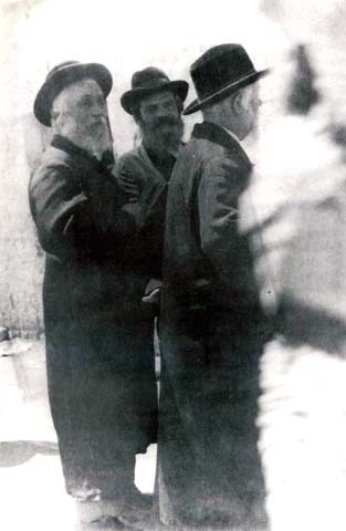 Этрог - Ontario2.jpg