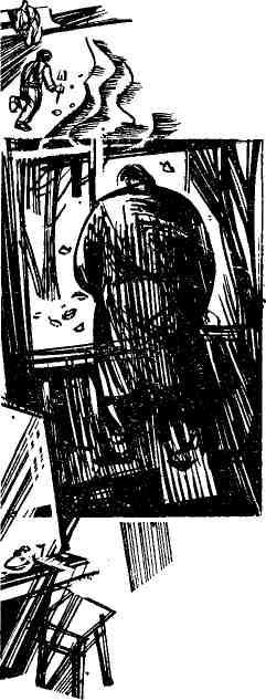 Эдельвейсы растут на скалах - img_2.jpeg