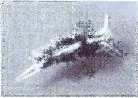 Подводный мир Черного моря - i_022.jpg