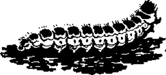 Необыкновенный махаон - i_005.png