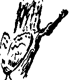 Необыкновенный махаон - i_007.png