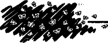 Необыкновенный махаон - i_022.png