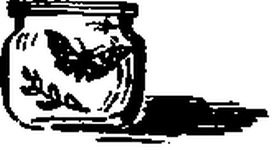 Необыкновенный махаон - i_026.png