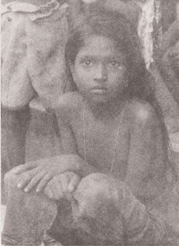 Природные катастрофы. Том 2 - i_033.jpg