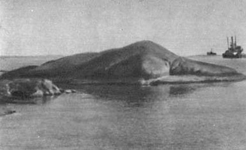 На дальних подступах - i_005.jpg